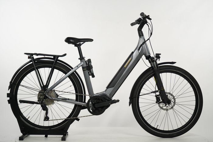 Winora Sinus iX10