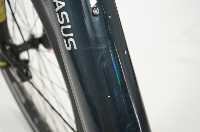 PEGASUS Premio EVO 11 "40 Years"