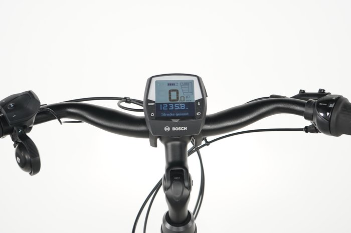 Raleigh Kingston  RT