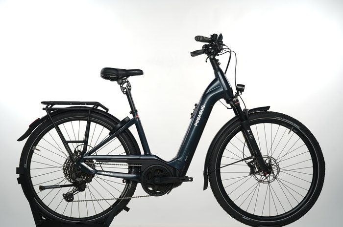PEGASUS Premio EVO 11″40 Years"