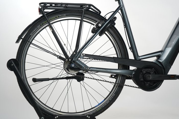 PEGASUS Premio EVO 5R Belt