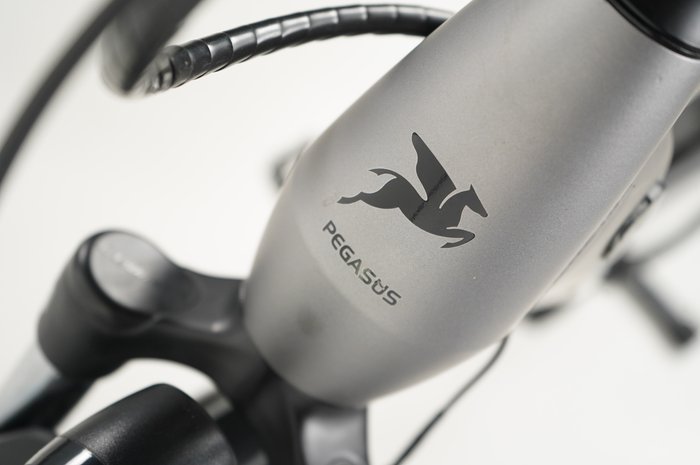 PEGASUS EVO CX