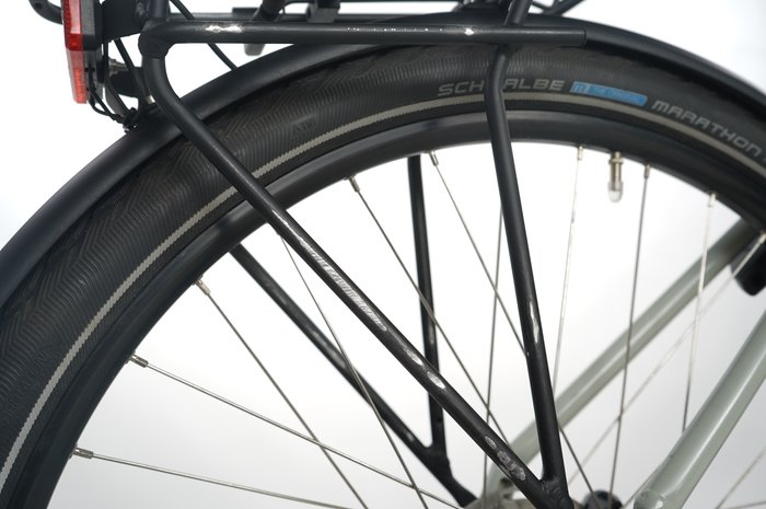 VICTORIA eTrekking 7.8