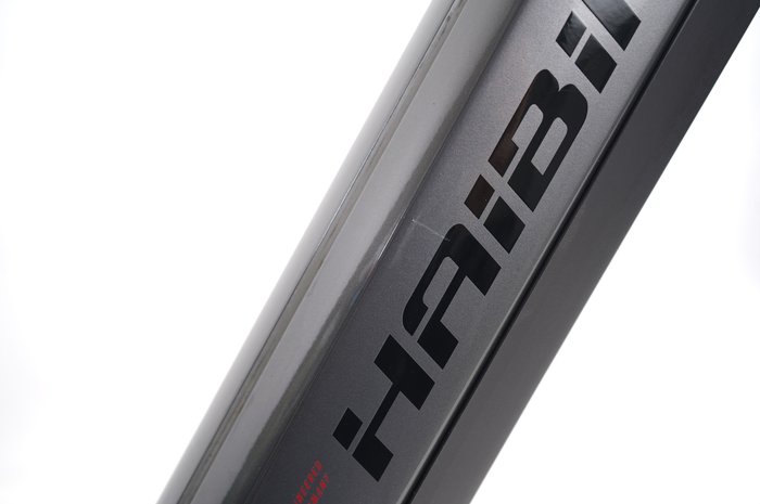 Haibike Allmtn 2