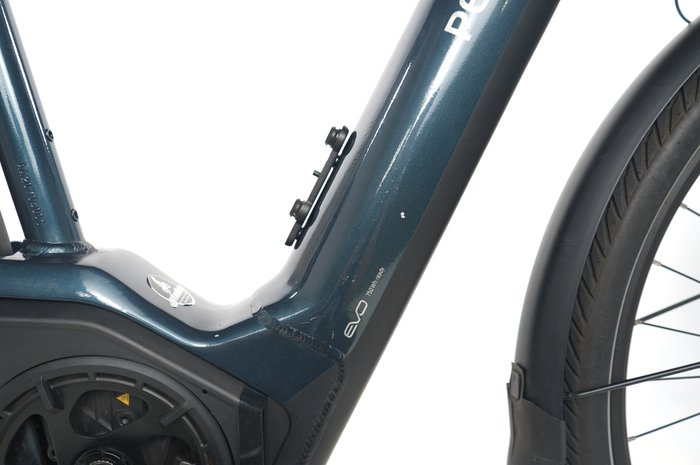 Pegasus Premio EVO 11 40 Years