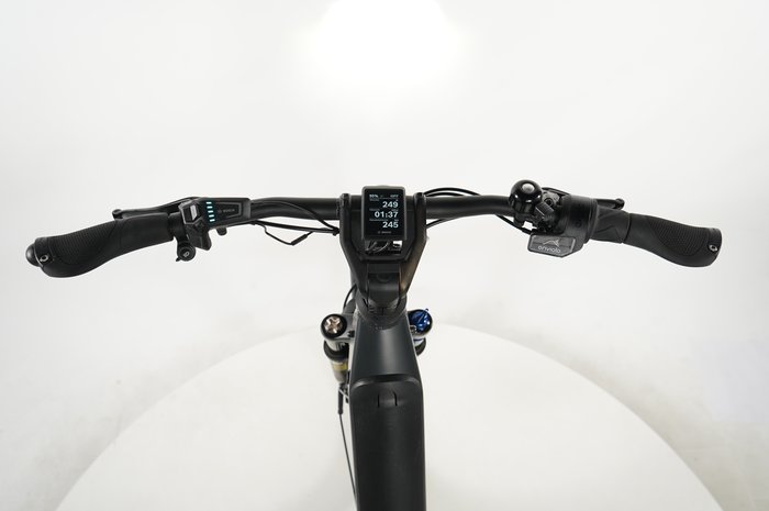Riese & Müller Nevo4 GT vario