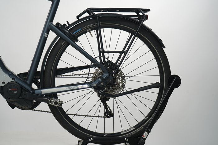 Pegasus Premio EVO 10 Lite