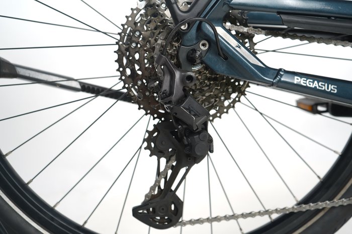 Pegasus Premio EVO 11 40 Years