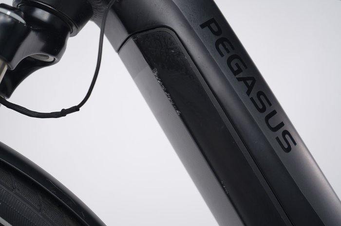 PEGASUS Premio Evo 10 Lite