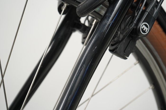 Riese & Müller Cruiser2 silent