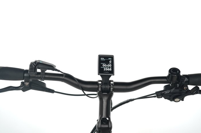 Pegasus Premio EVO 11 40 Years