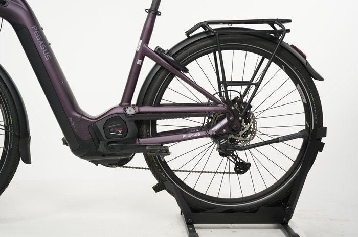 PEGASUS Premio 11