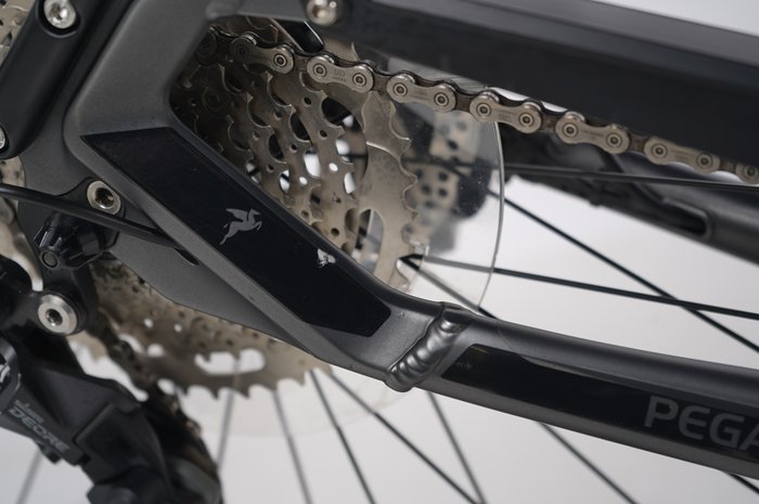 PEGASUS Premio Evo 10 Lite