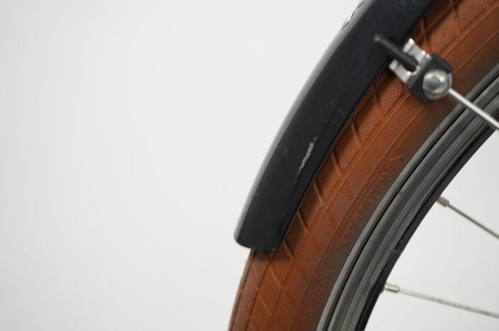 Riese & Müller Cruiser2 silent