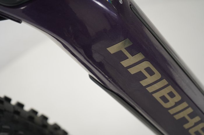 Haibike AllTrail 8 29