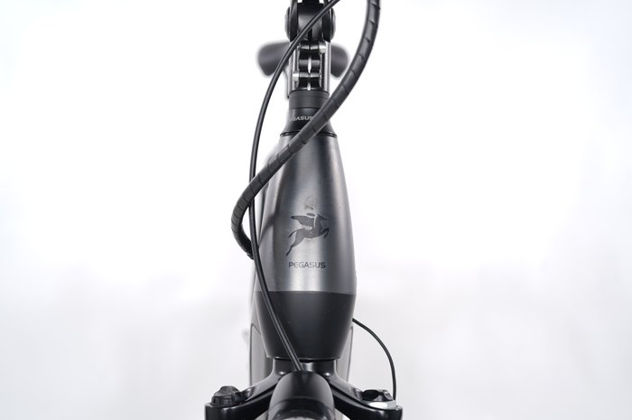 PEGASUS Premio Evo 10 Lite