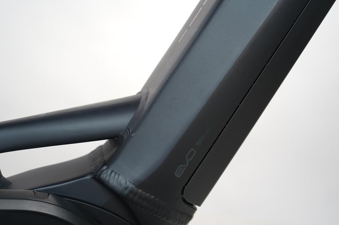 Pegasus Premio EVO 5R Belt