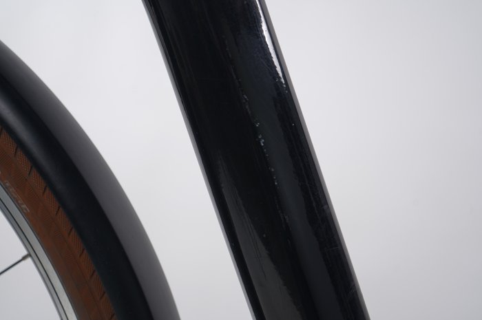 Riese & Müller Swing