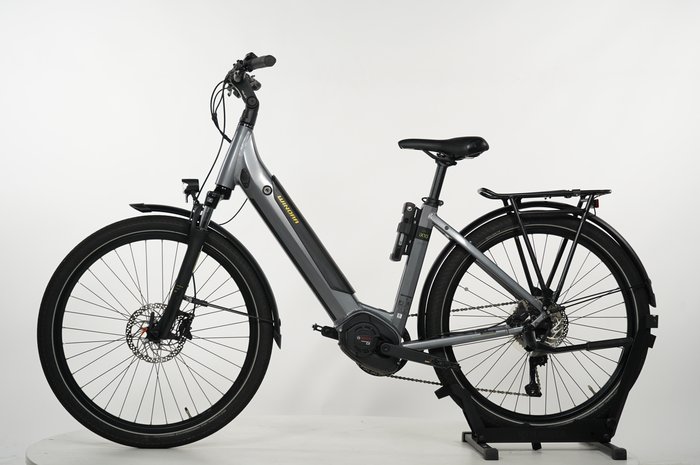 Winora Sinus iX10