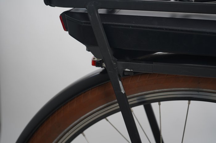 Riese & Müller Swing vario