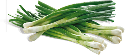 Obrázok CIBUĽKA LAHÔDKOVÁ ZVÄZOK