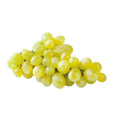 Obrázok STOLOVÉ HROZNO BIELE VOĽNÉ BONVIA