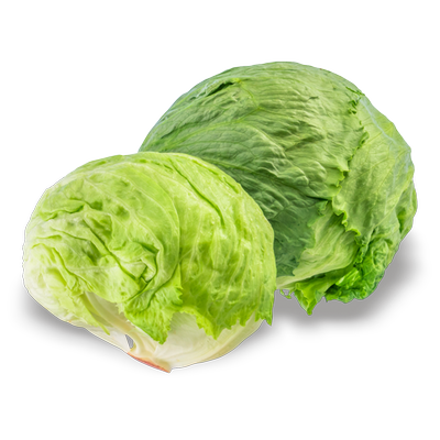 Obrázok ŠALÁT ĽADOVÝ KUS