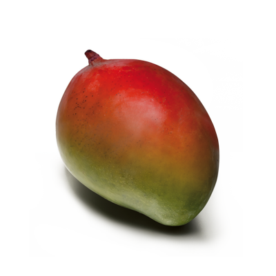 Obrázok MANGO KUS