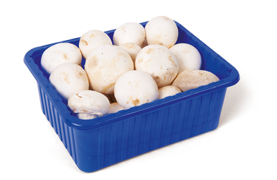 Obrázok SAMPIŇÓNY BIELE  BALENÉ 500G