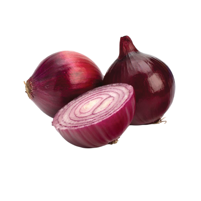 Obrázok CIBUĽA ČERVENÁ VOĽNÁ