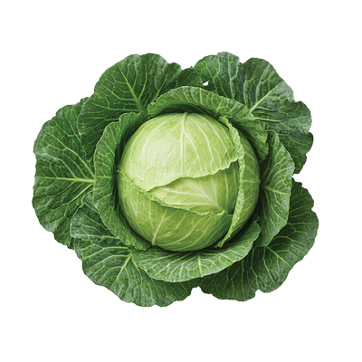 Obrázok NATUR FARM PLNENÁ KAPUSTA 400G
