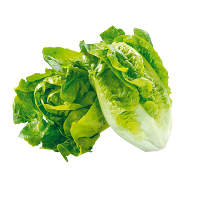 Obrázok ŠALÁT LITTLE GEM 2KS