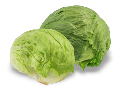 Obrázok ŠALÁT ĽADOVÝ KUS / BON VIA