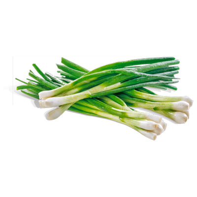 Obrázok CIBUĽKA LAHÔDKOVÁ ZVÄZOK / BON VIA