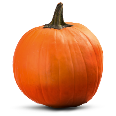 Obrázok TEKVICA HALLOWEEN VOĽNÁ CHUTE SLOVENSKA
