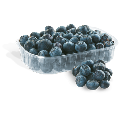 Obrázok ČUČORIEDKY 250G