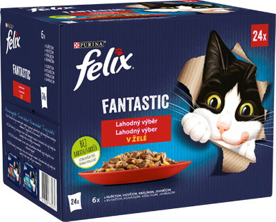 Obrázok FELIX FANTASTIC MULTIPACK 24X85G