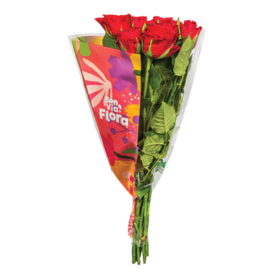 Obrázok KYTICA BONVIA FLORA RUZE 40CM 7KS