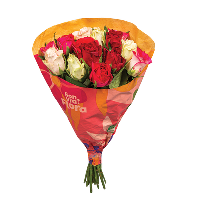Obrázok KYTICA BONVIA FLORA RUZE 40CM 15KS