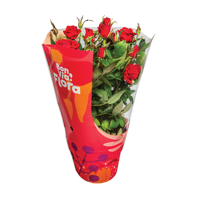 Obrázok KVETY BVF RUZA 12CM