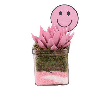 Obrázok KVETY ECHEVERIA V SKLE ĎAKUJEM