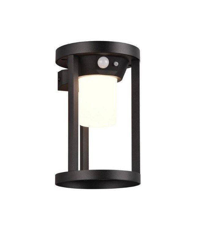 Applique Murale Solaire LED avec Capteur de Mouvement - Carmo - 3000K - 2W - IP54  - Noir 