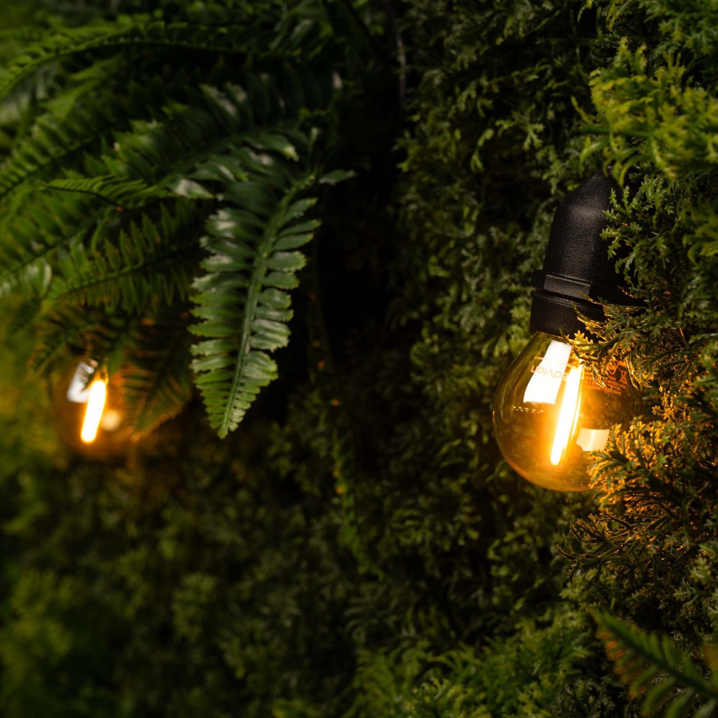 Catena Luminosa Da Esterno IP65 10 M Con 20 Portalampade E27 – Prolungabile Fino A 100 M, Perfetta Per Giardino E Matrimoni!