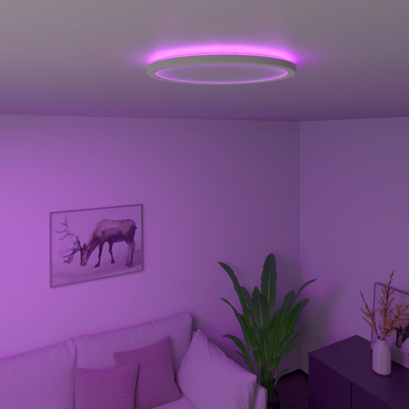 Calex Smart LED Striplight RGBW, 2 m, afstandsbediening