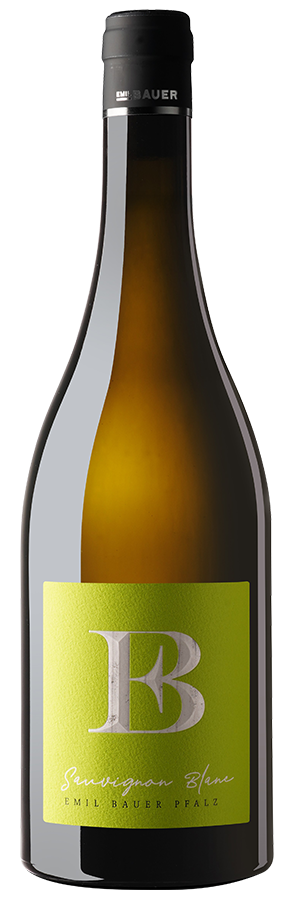 Weinfreunde Wein-Angebote - Sauvignon Blanc Nussdorf (2024) - Emil Bauer - Weißwein aus der Pfalz, Deutschland