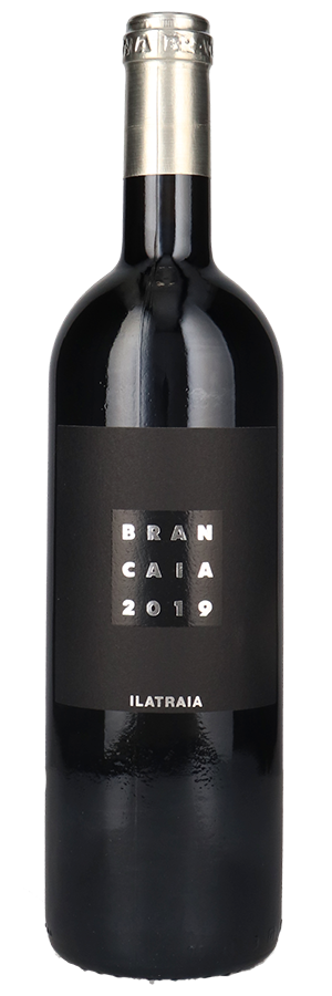 Weinfreunde Wein-Angebote - Ilatraia Bio (2019) - Brancaia - Rotwein aus der Toskana, Italien