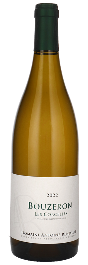 Weinfreunde Wein-Angebote - Bouzeron Les Corcelles (2022) - Domaine Antoine Reniaume - Weißwein aus dem Burgund, Frankreich