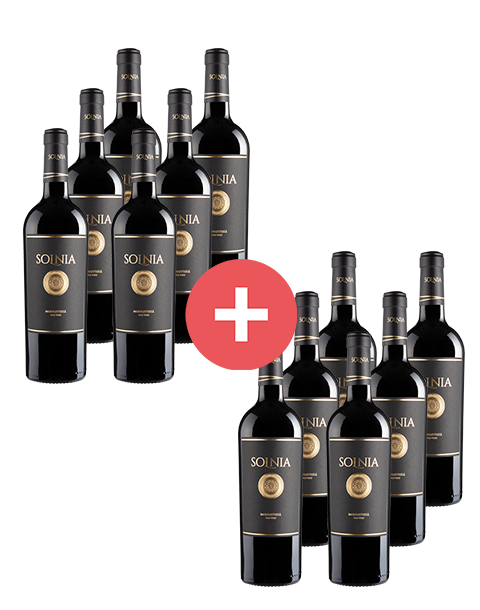 6+6-Paket Solnia Monastrell - Weinpakete