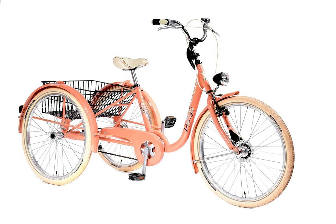 Tri Bike Driewielfiets Flash