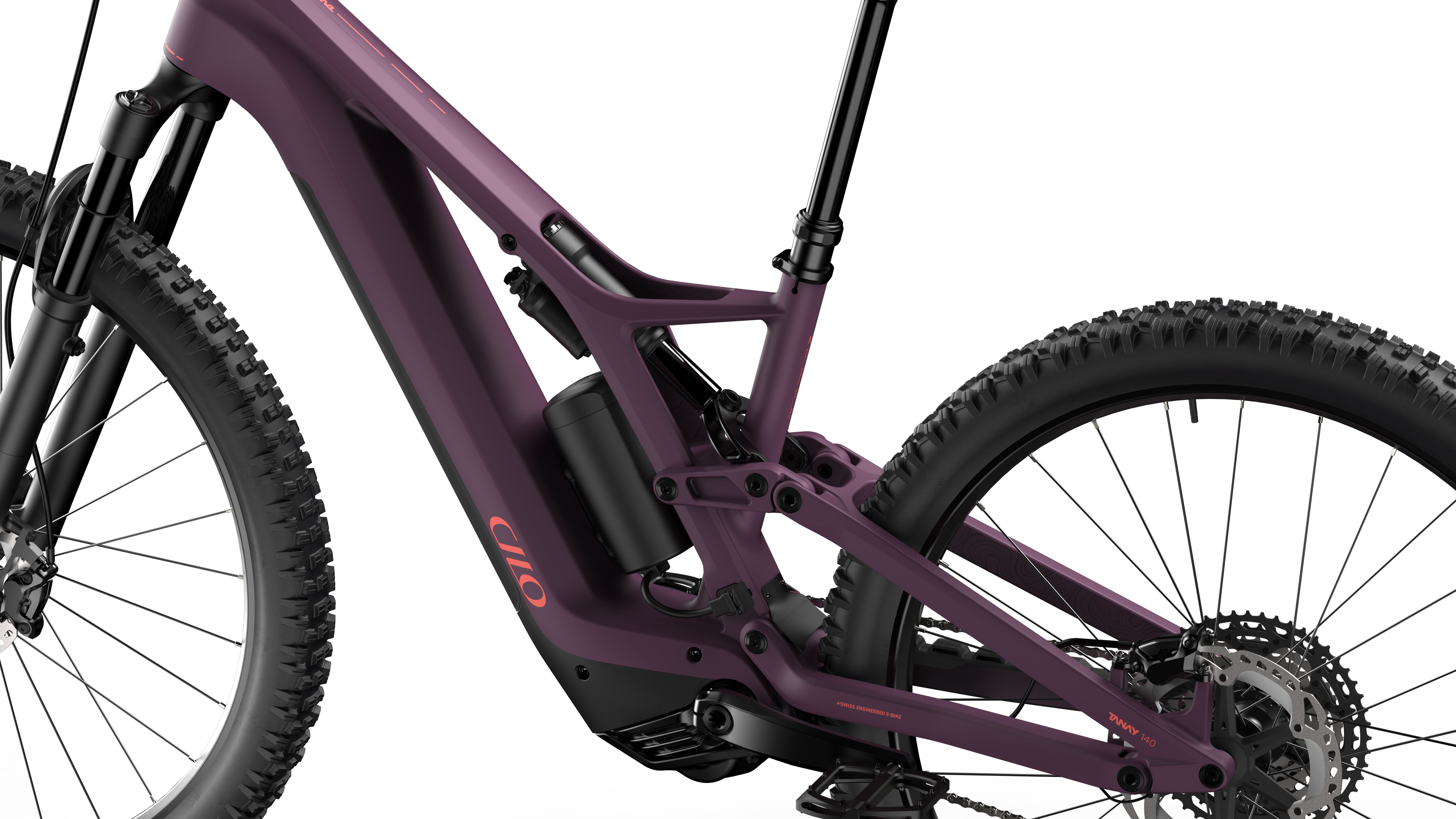 【親株】P.Hillii Yot #16 Aor Chao（OC） platycerium hillii 'Aorchao' Yot#16 親株】P.Hillii Yot #16 Aor